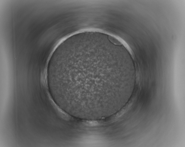 X0000113550911200909251035