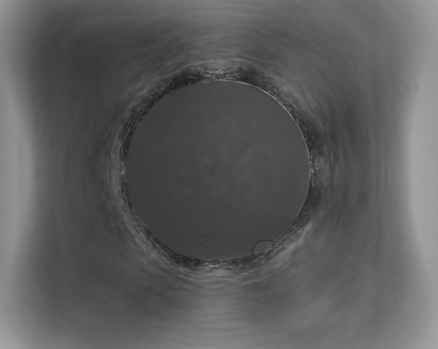 X0000113550913200909251034