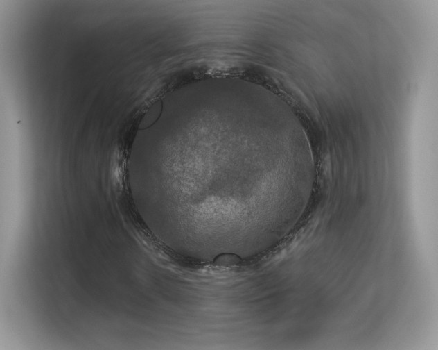 X0000113550914200909251034