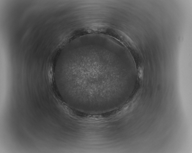 X0000113550915200909251034