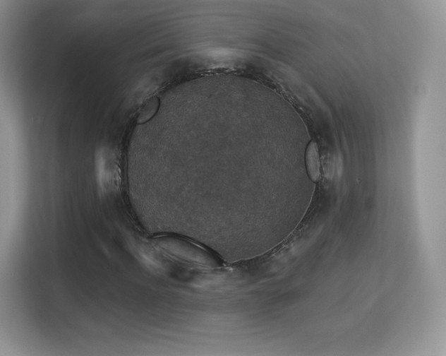 X0000113550916200909251035