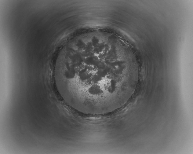 X0000113550917200909251035