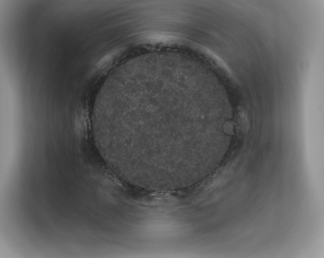 X0000113550918200909251035