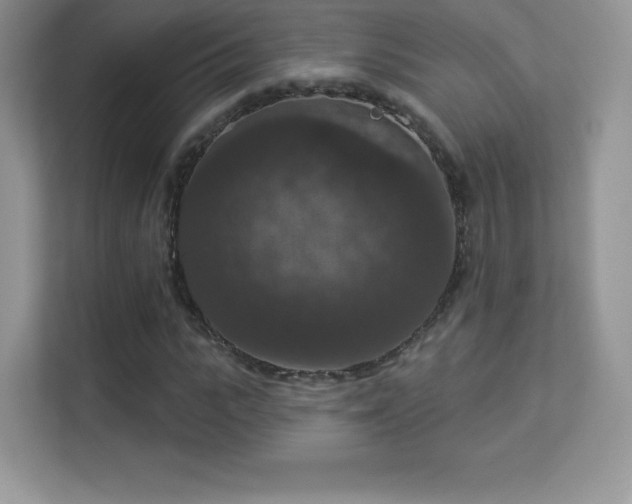 X0000113550919200909251035