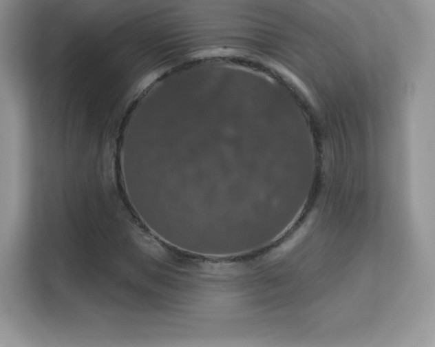 X0000113550921200909251035