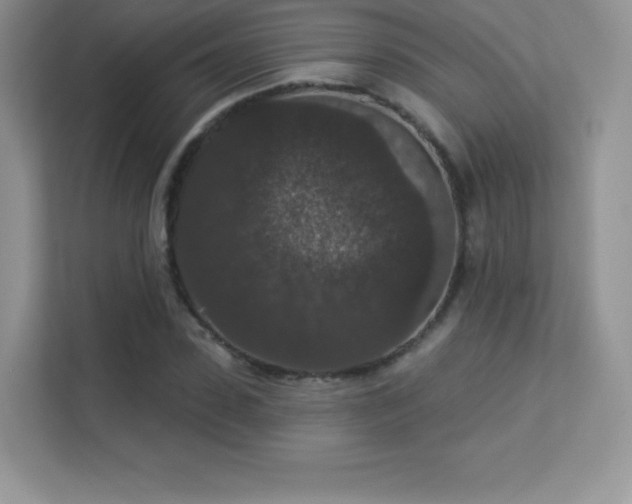 X0000113550923200909251035