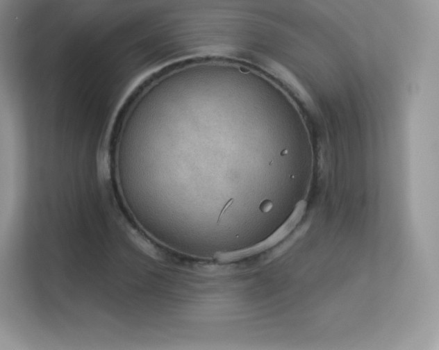 X0000113550924200909251035