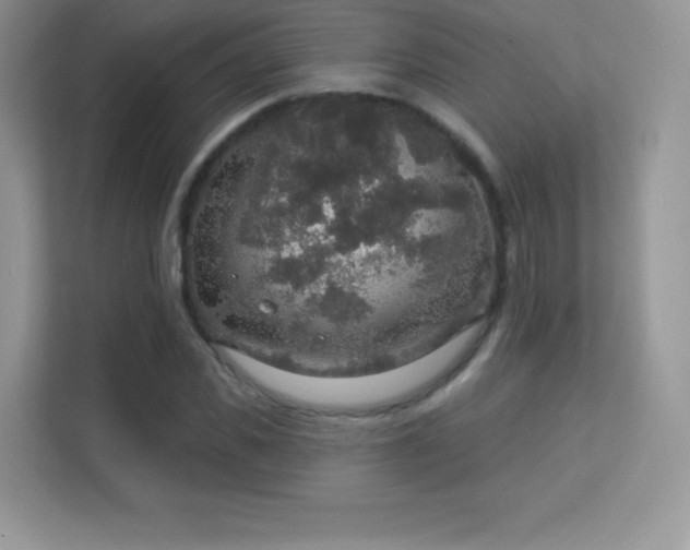 X0000113550925200909251035