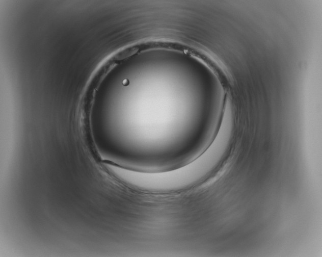 X0000113550926200909251035