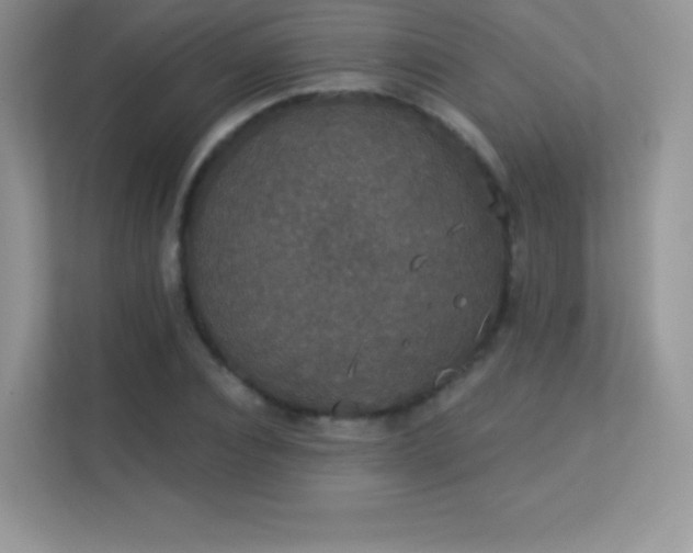 X0000113550928200909251035