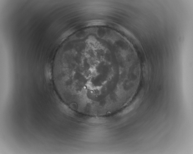 X0000113550929200909251035