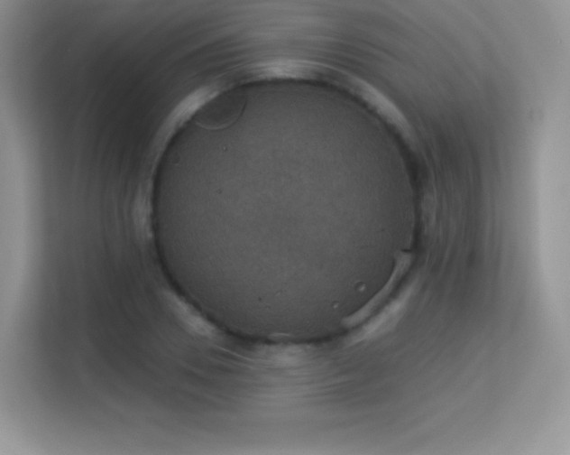 X0000113550930200909251035