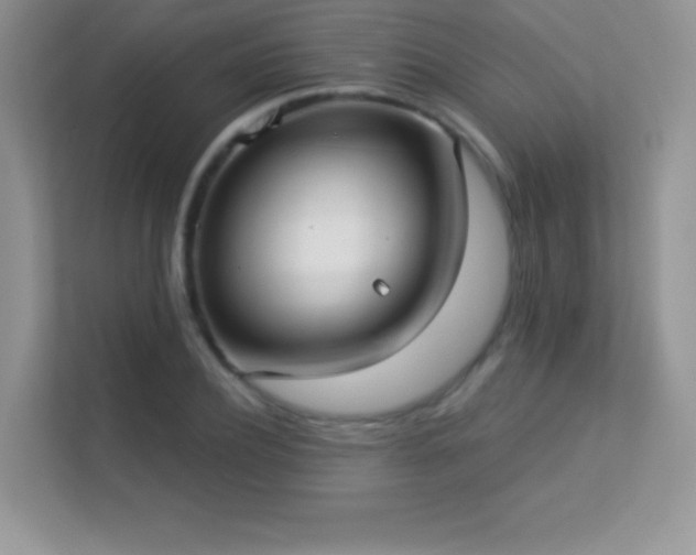 X0000113550932200909251035