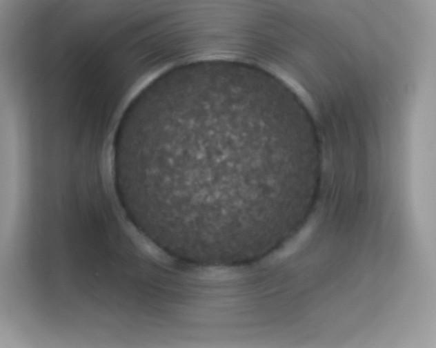 X0000113550933200909251035