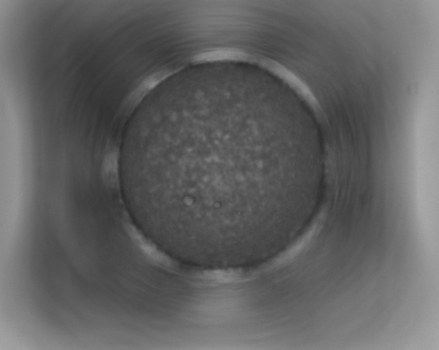 X0000113550937200909251035