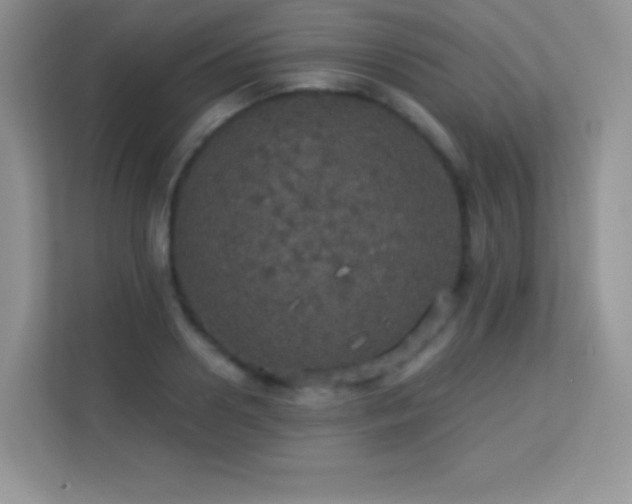 X0000113550938200909251035