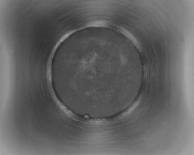 X0000113550939200909251035