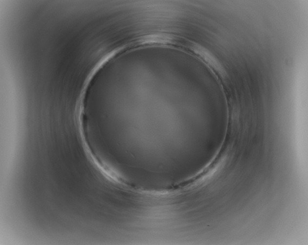 X0000113550941200909251035