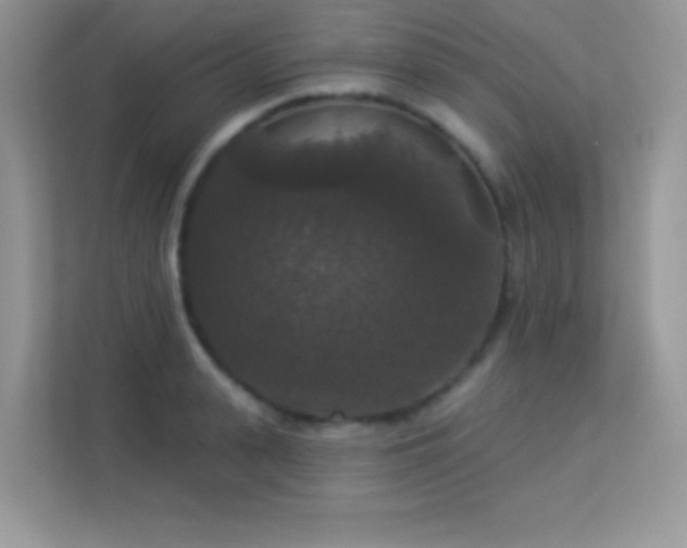 X0000113550943200909251035