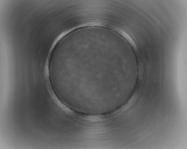 X0000113550944200909251035