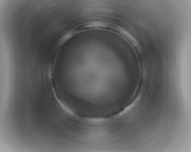 X0000113550945200909251035