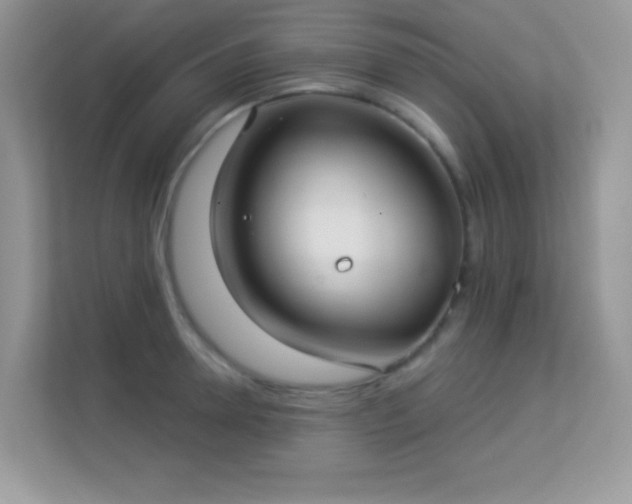 X0000113550946200909251035