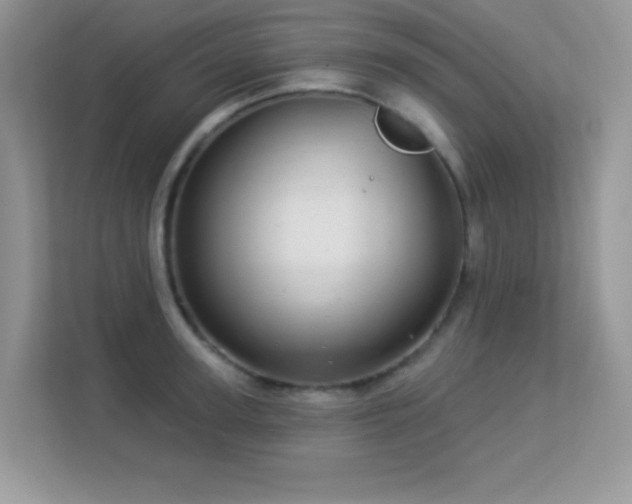 X0000113550947200909251035