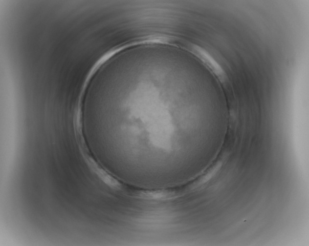 X0000113550948200909251035