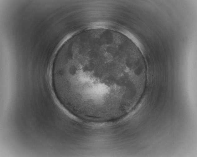 X0000113550949200909251035