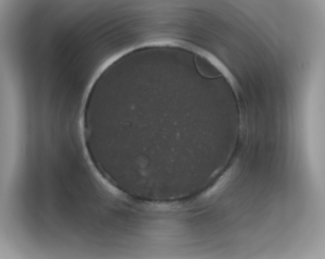 X0000113550951200909251035