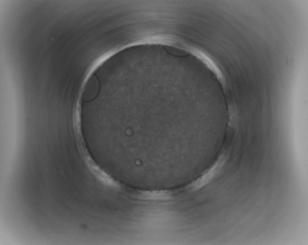 X0000113550952200909251035