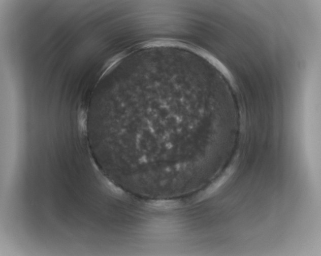 X0000113550953200909251035