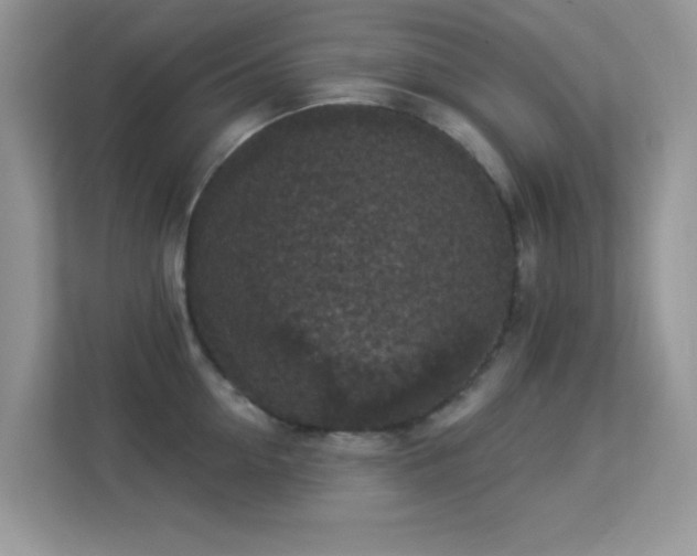 X0000113550954200909251035