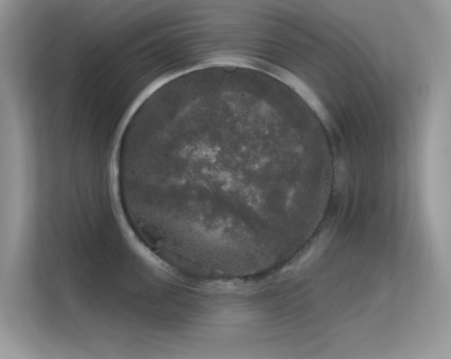 X0000113550955200909251035