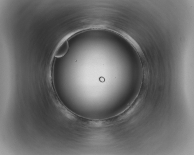 X0000113550956200909251035