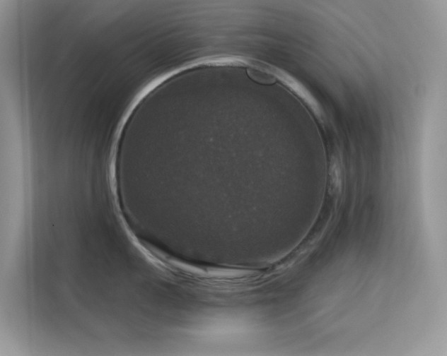 X0000113550959200909251035