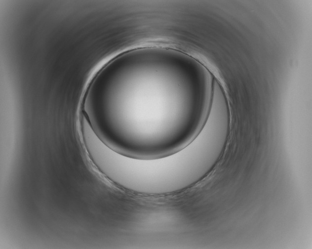 X0000113550960200909251035