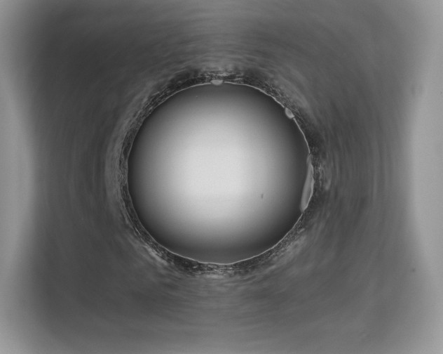 X0000113550961200909251034