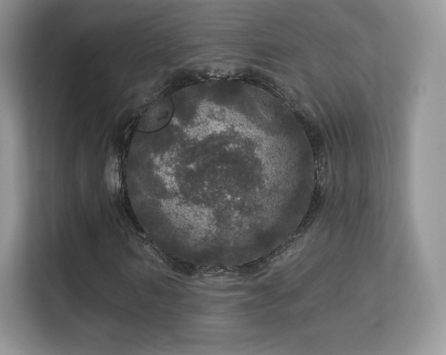 X0000113550962200909251034