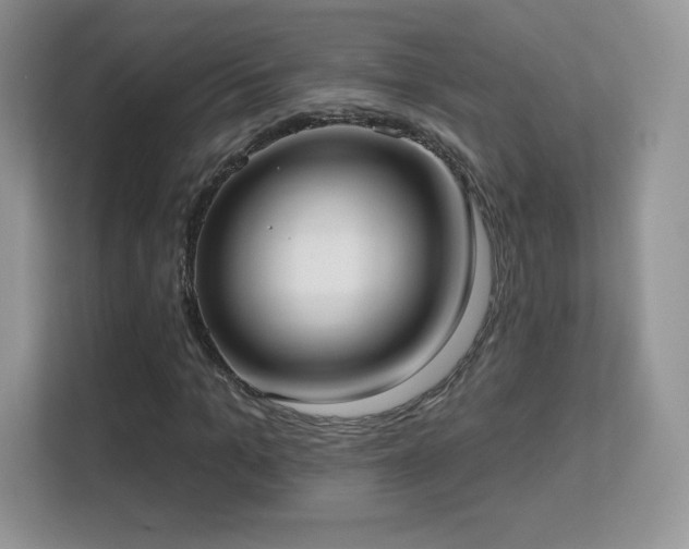 X0000113550965200909251034