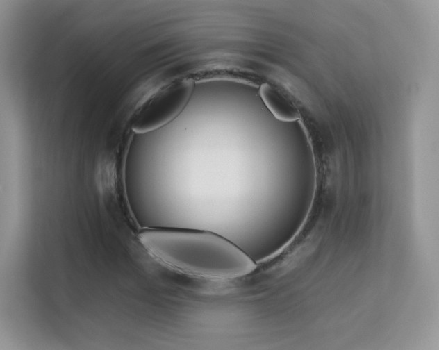 X0000113550969200909251034