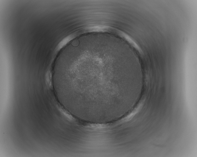 X0000113550970200909251034