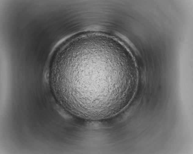 X0000113550971200909251034