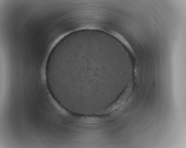 X0000113550972200909251034