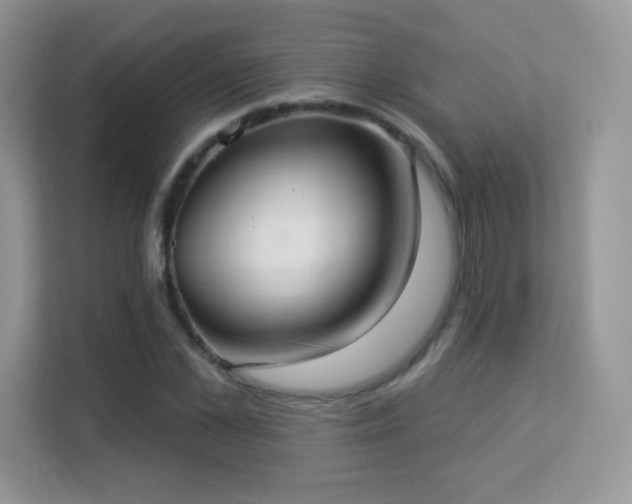 X0000113550973200909251034