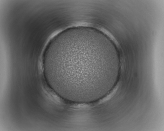 X0000113550974200909251034