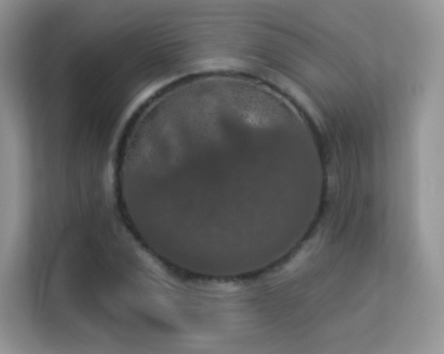 X0000113550975200909251034