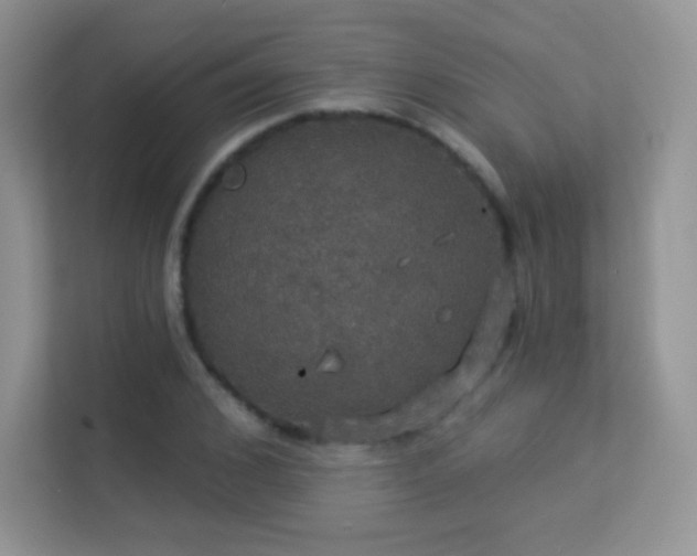 X0000113550976200909251034