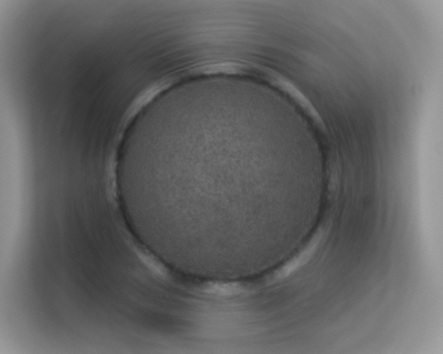 X0000113550978200909251034