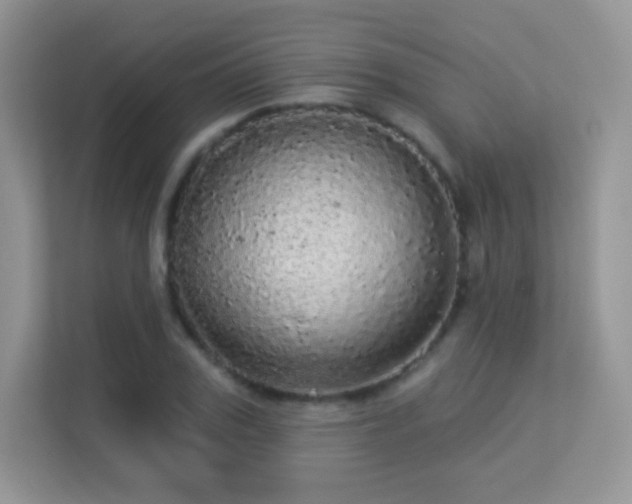 X0000113550979200909251034